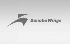 Danube Wings logo